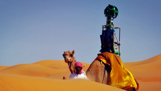 Google Has A Street View Camel